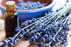 Ayurvedic Knowledge Articles